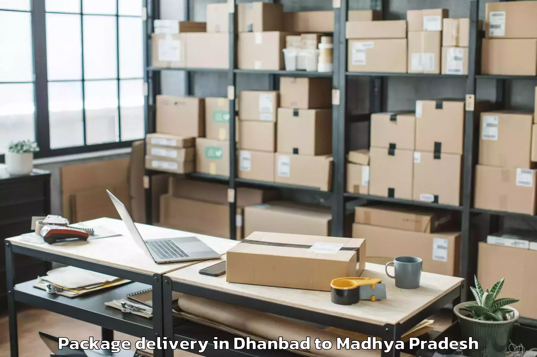 Trusted Dhanbad to Katni Package Delivery